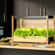 Illustration for article titled This Indoor Garden Will Feed You Greens Year-Round